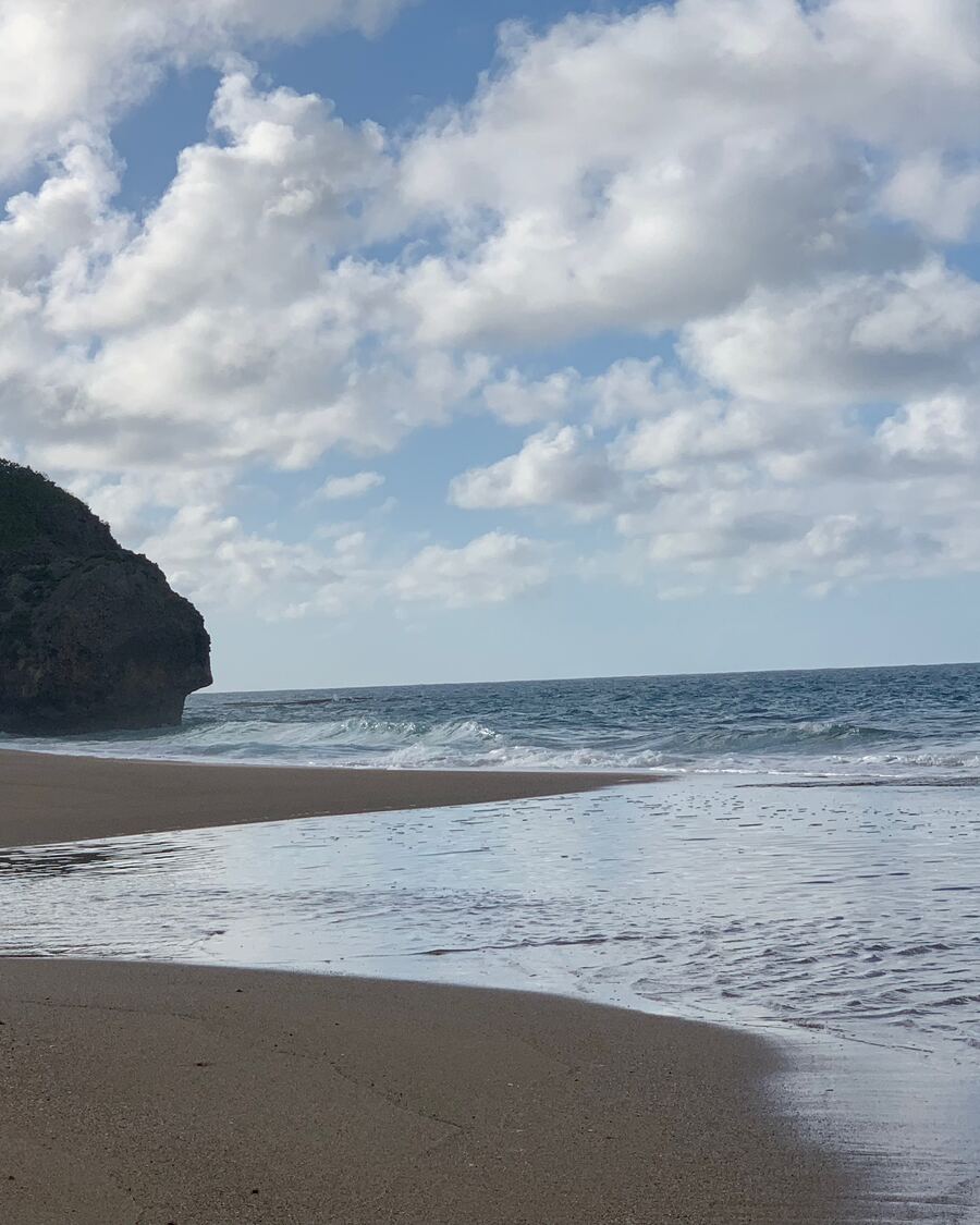 Wet sand and cliffs on a collecting beach